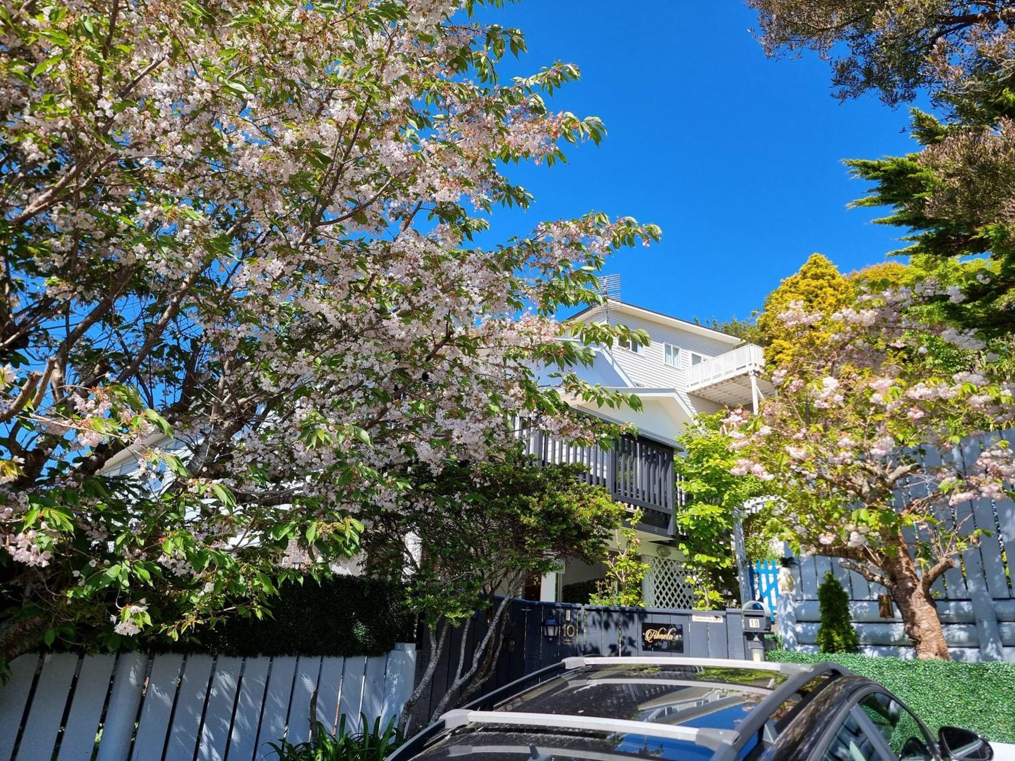 Entire Ground Floor With Full-Privacy And Family-Friendly Popular To Ferry Catchers 웰링턴 외부 사진